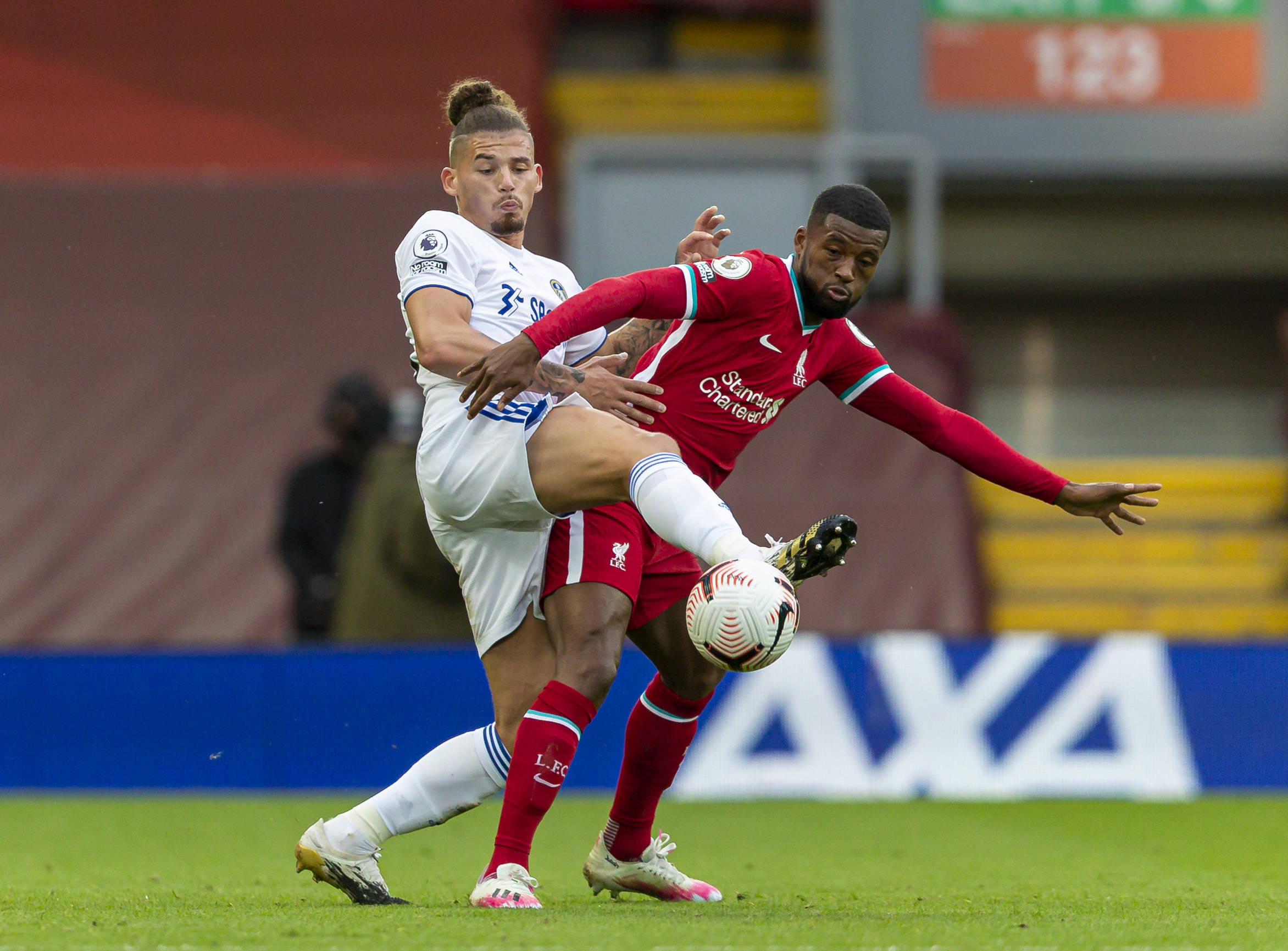 探索这项新 探索这项新